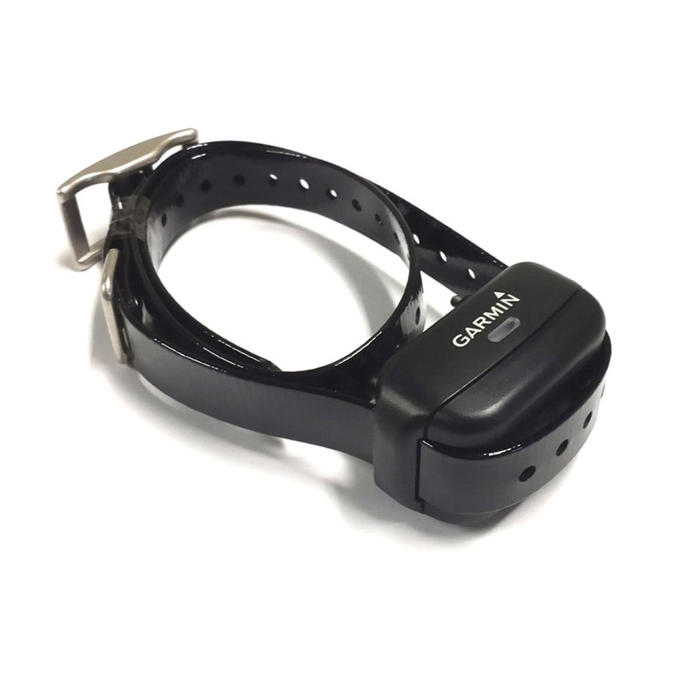 Garmin wifi best sale shock collar